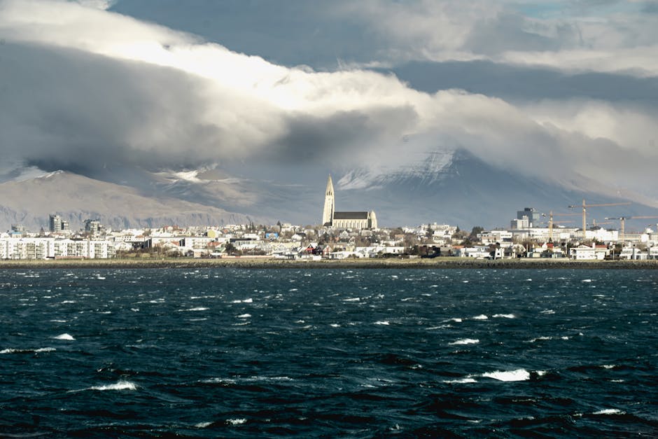 Reykjavík Harbor